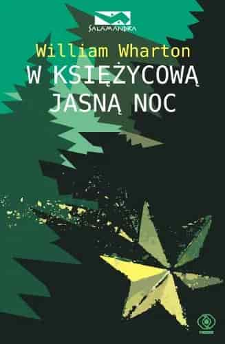 Okładka książki: W księżycową jasną noc