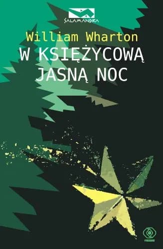 Okładka książki: W księżycową jasną noc