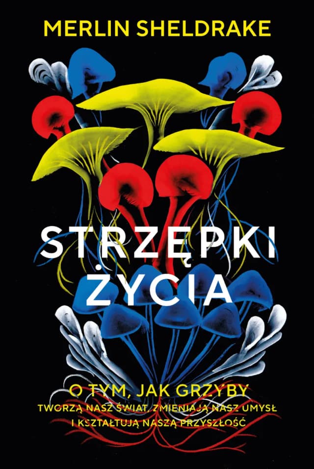 Okładka książki: Strzępki życia
