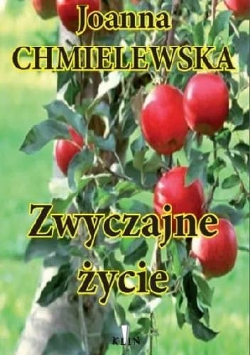 Okładka książki: Zwyczajne życie
