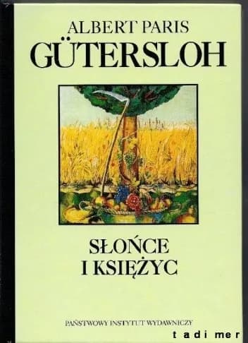 Okładka książki: Słońce i księżyc: powieść historyczna z teraźniejszości