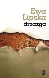 Okładka książki: Drzazga