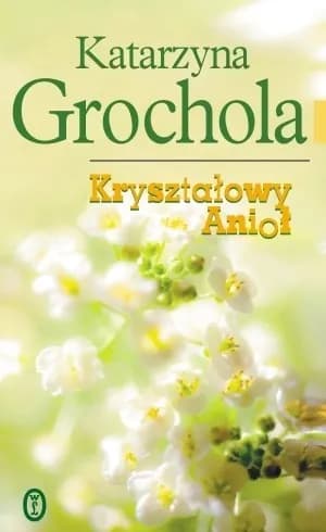 Okładka książki: Kryształowy Anioł